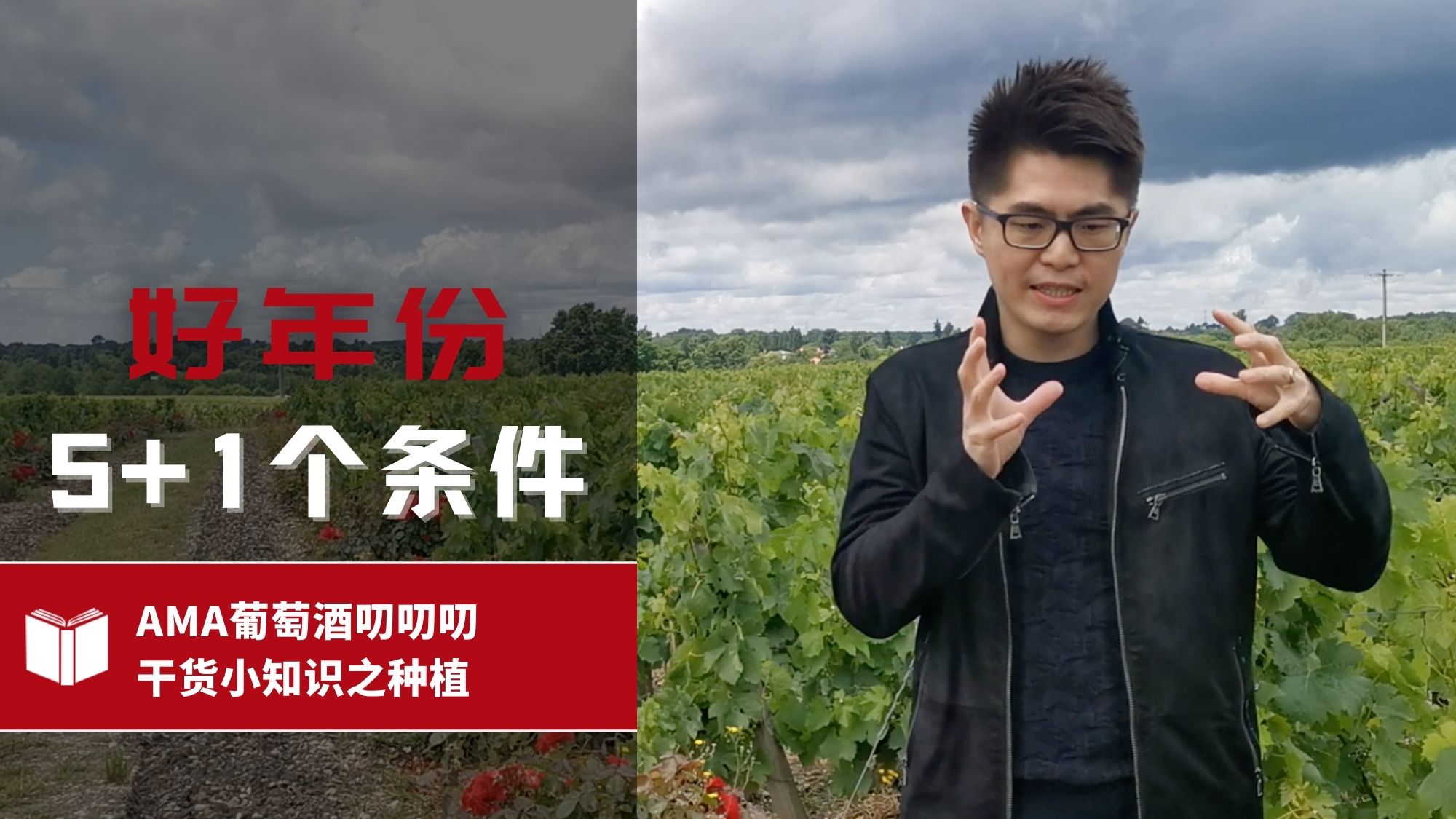The 5+1 conditions of a good vintage - Alexandre MA