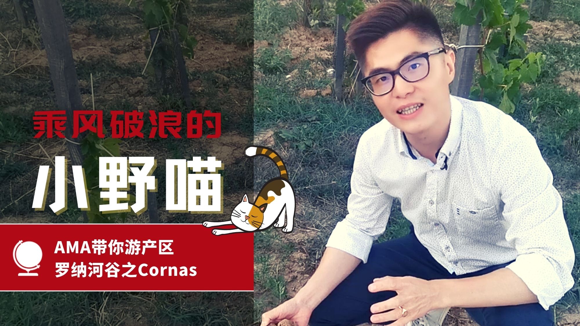 AMA带你游产区 – Cornas 科尔纳斯, 罗纳河谷 - Alexandre Ma